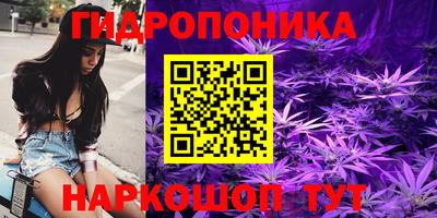 молекула духа Заволжье