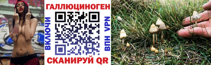 Псилоцибиновые грибы Magic Shrooms  где купить   Ярцево 