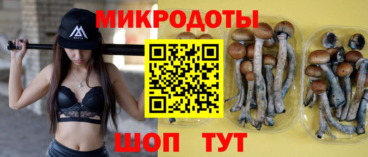 Псилоцибиновые грибы мухоморы Ярцево